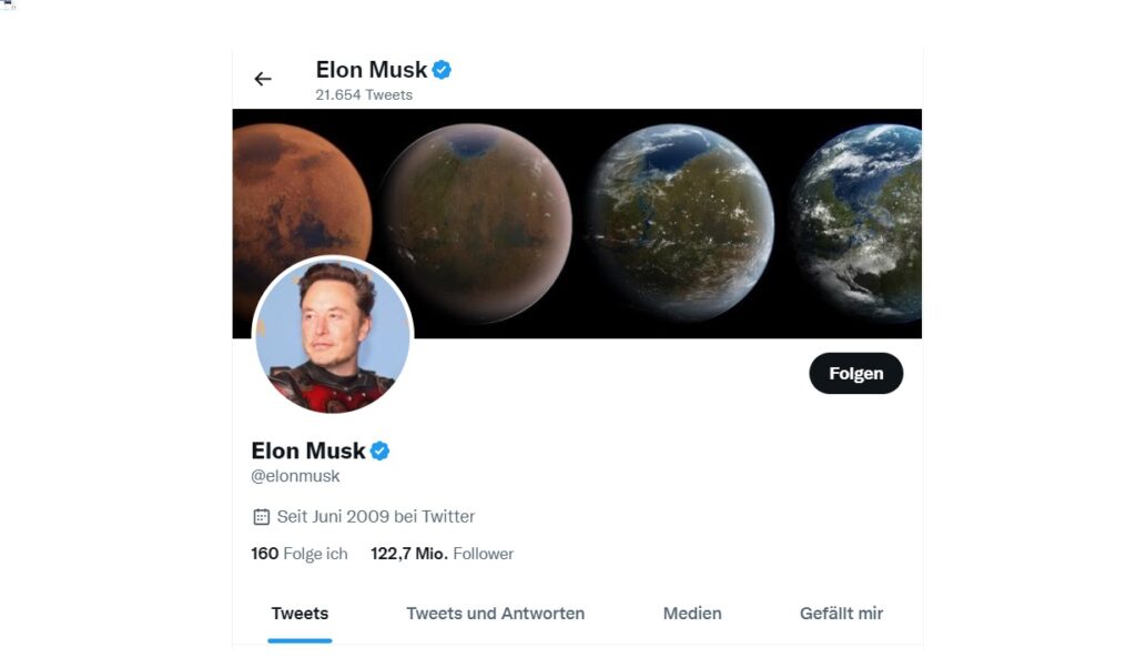 Musk sieht sich Kritik ausgesetzt, da Entlassungen bei Tesla inmitten des Aktienrutsches drohen elon-musk-twitter-profil-finanzmann
