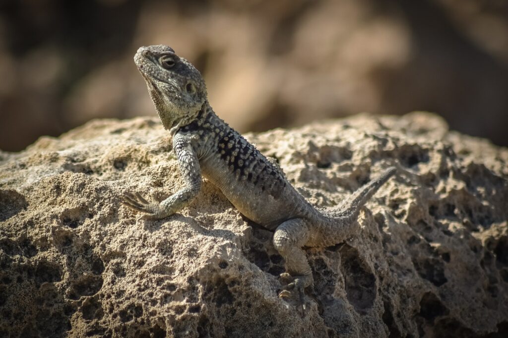 Nachhaltige Geschäftsmodelle: 5 Prinzipien für unternehmerische Resilienz Eine starke Geschäftsidee kann nur dann erfolgreich sein, wenn sie auf Resilienz aufgebaut ist und sich an neue Herausforderungen anpassen kann.